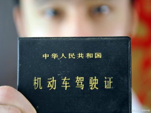 高效专业的合同翻译服务｜助力跨境商务安全交易